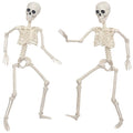 3Ft Life Size Plastic Human Skeleton with Movable Joint Z378594