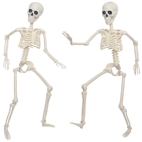 3Ft Life Size Plastic Human Skeleton with Movable Joint Z378594