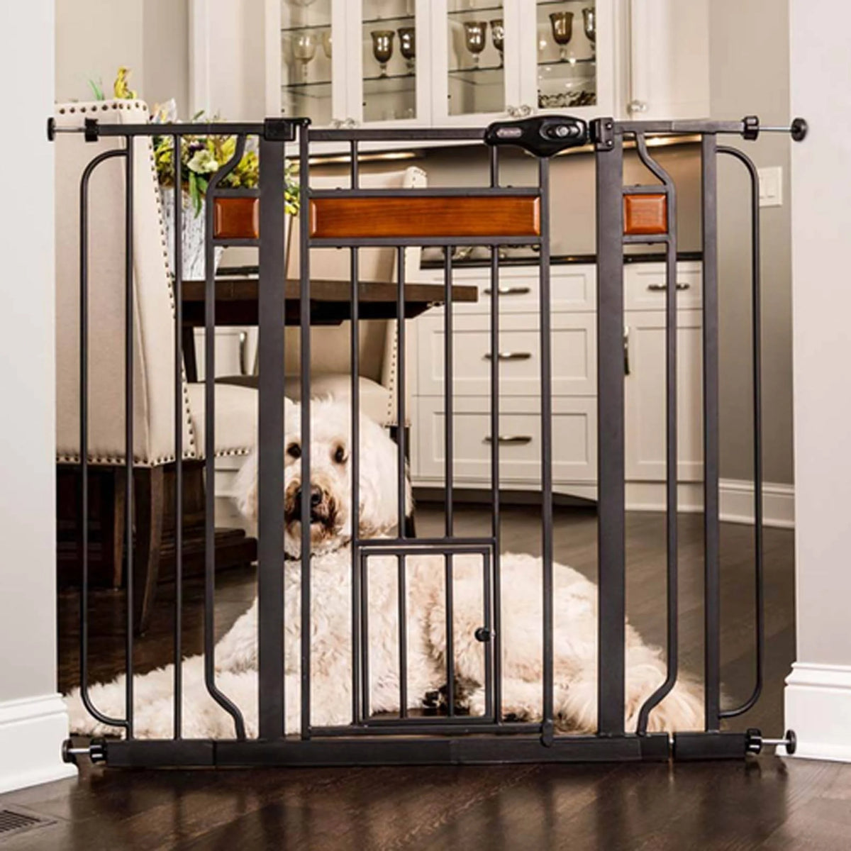 Black Extra Tall Gate with Small Pet Door D8557