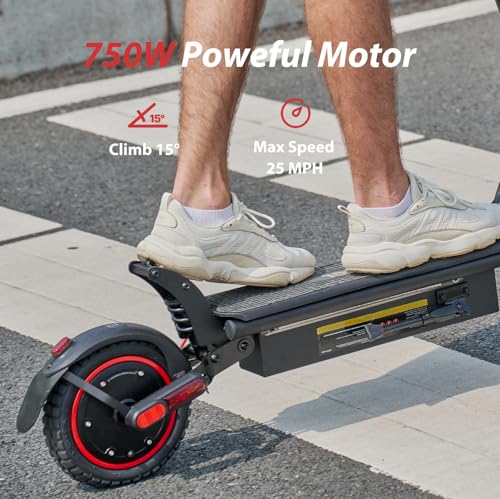1000W Electric Scooter with 10" Off-Road Tires Z75022
