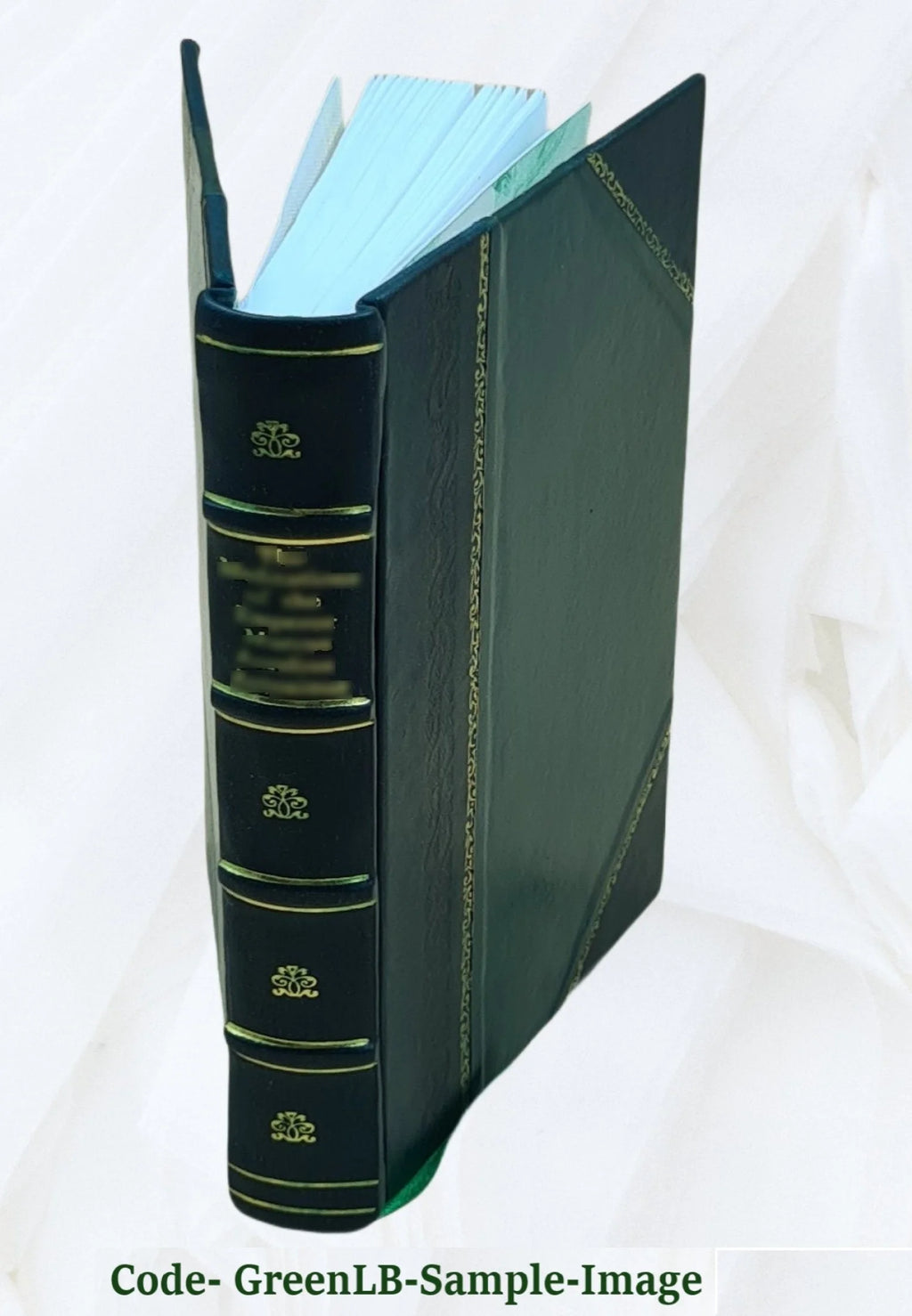 Leather Bound Book G906439