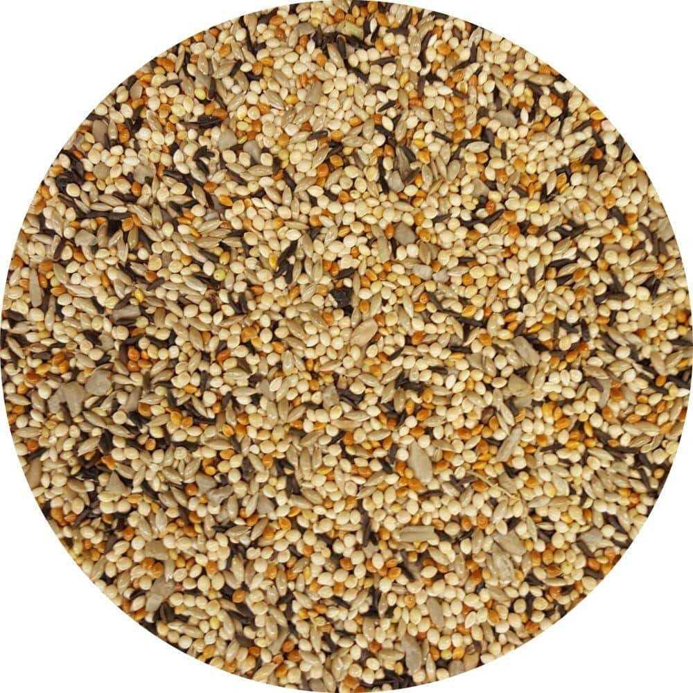 10 lb. Wild Bird Food S5380