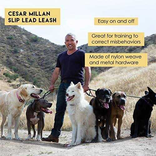 Slip Lead Leash 2-in-1 Dog Training Lead & Collar S433517