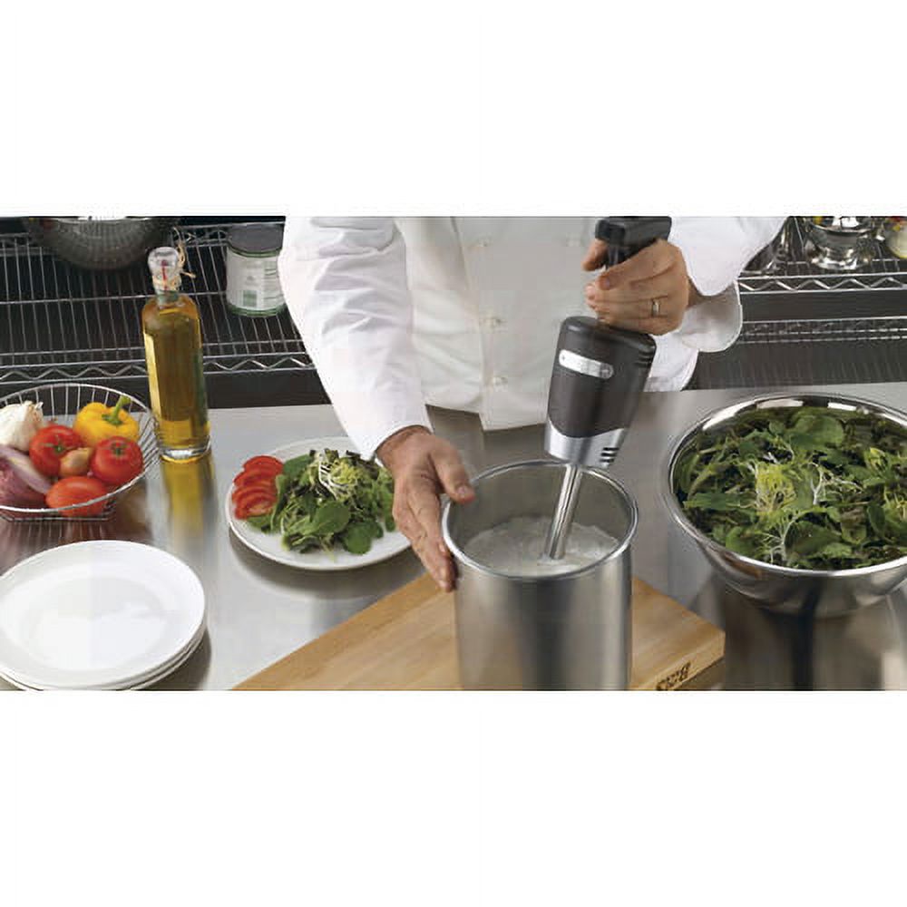 10" Medium Duty Immersion Blender V8235