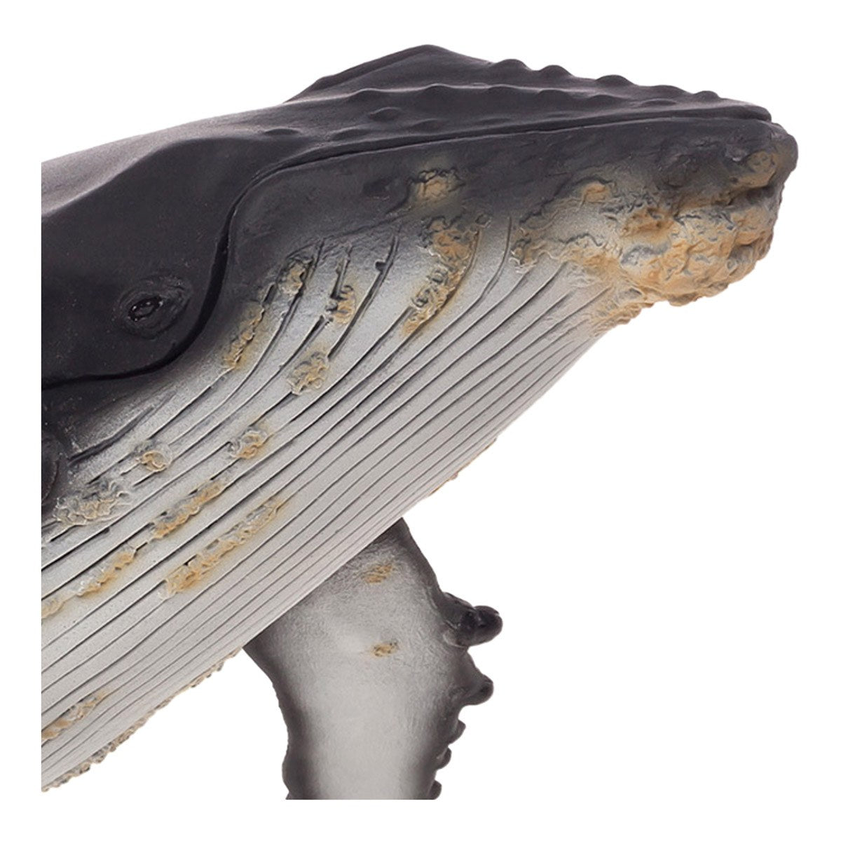 Large Hump Back Whale Wildlife Figurine F265