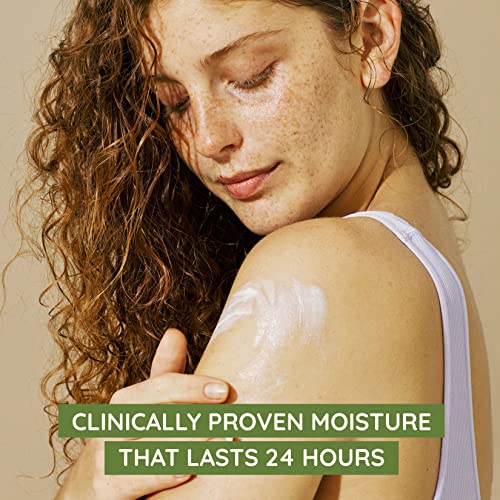 18 fl. oz Fragrance-Free Moisturizing Lotion Y882148
