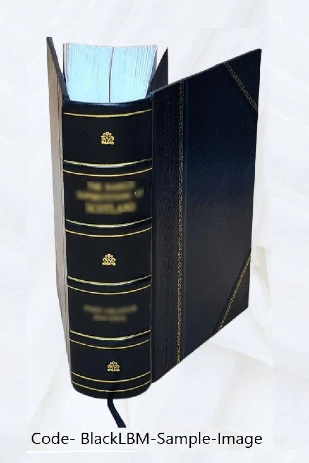 Leather Bound U5524