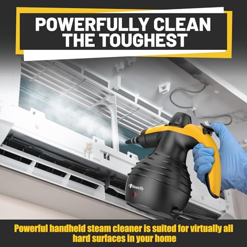 Pressurized Handheld Steam Cleaner with 10pcs Accessories J457