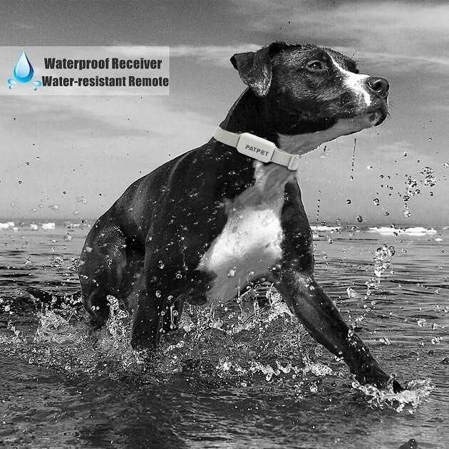 Remote Training Collar for Dogs D213908