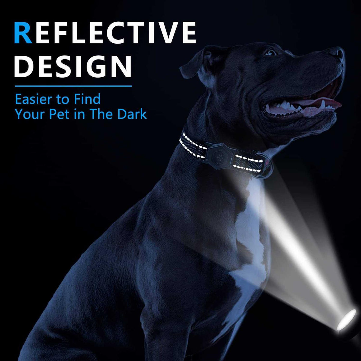 Adjustable Reflective Dog Collar with AirTag Holder C601219