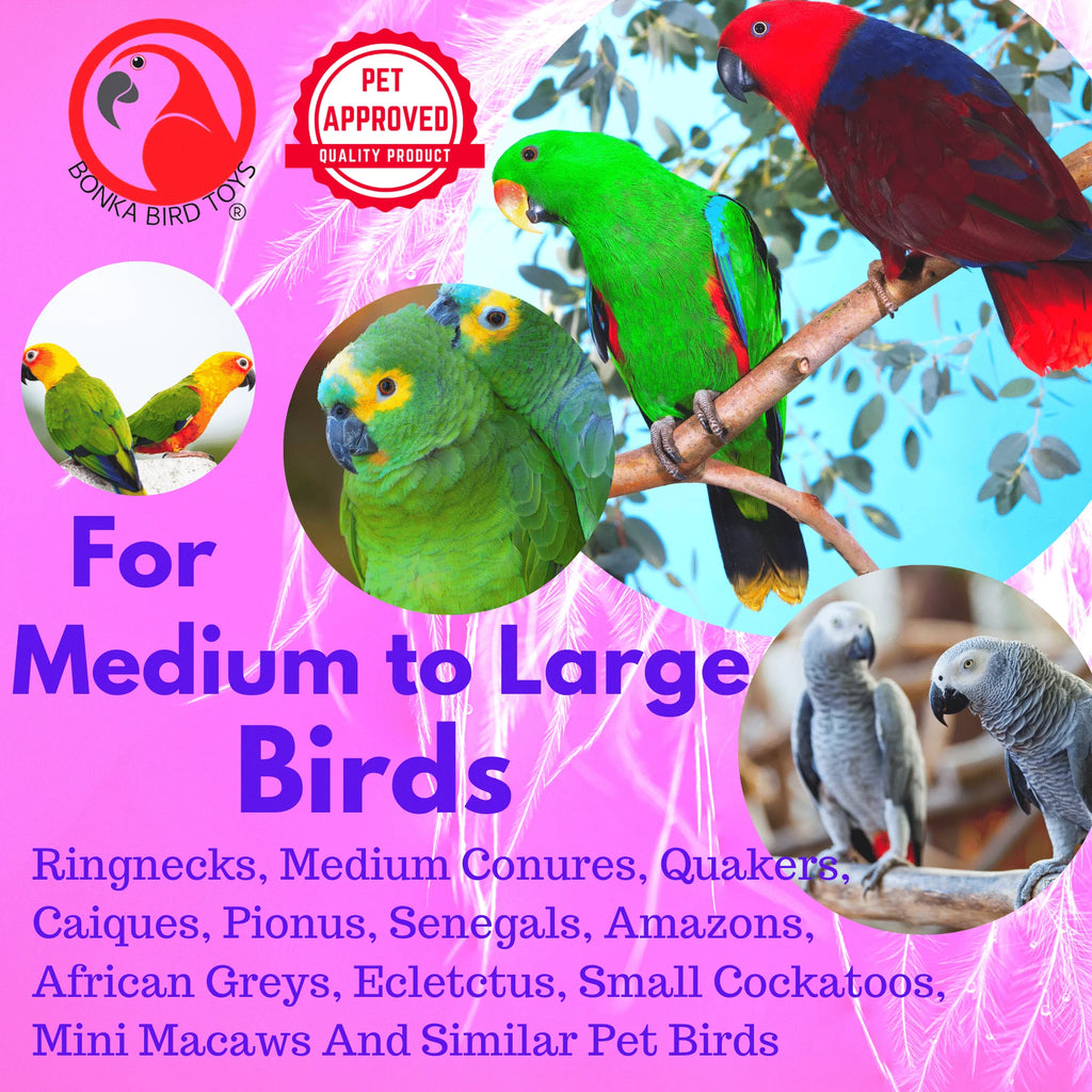 Green Clacker Bird Toys U501014