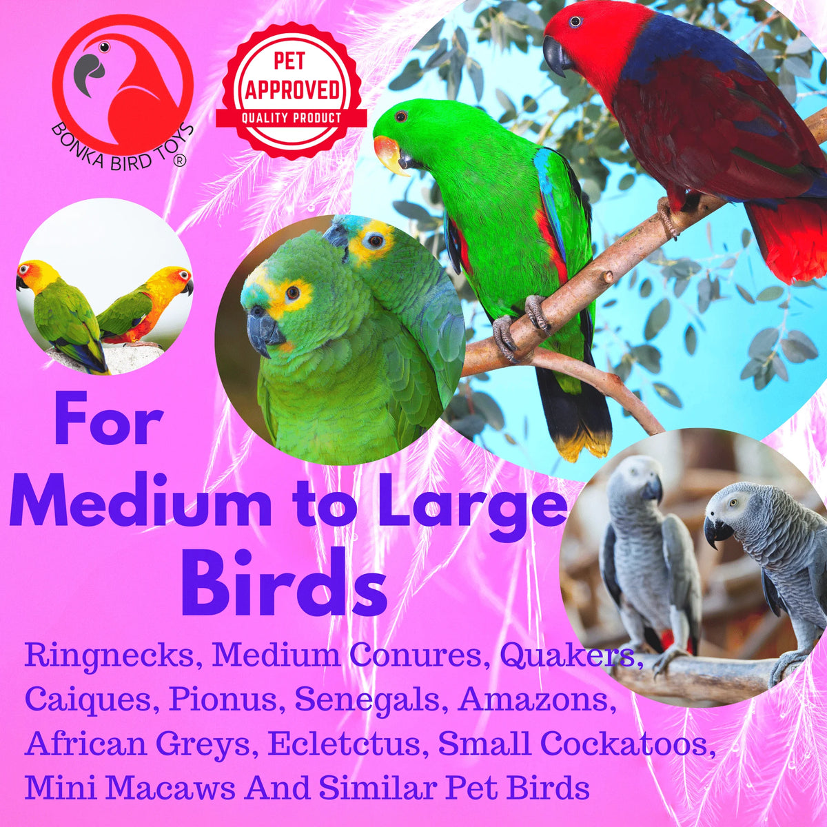 Green Clacker Bird Toys U501014