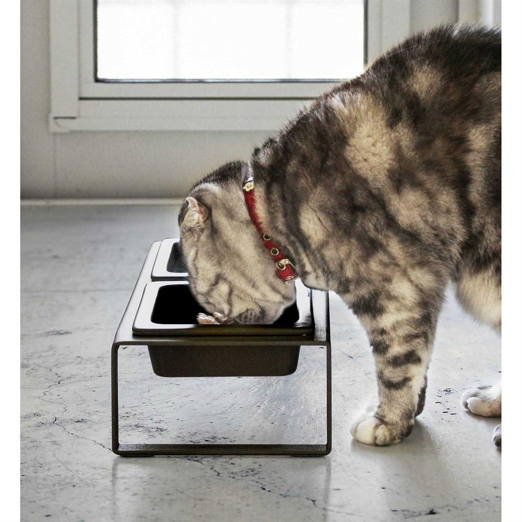 Pet Food Bowl B9787