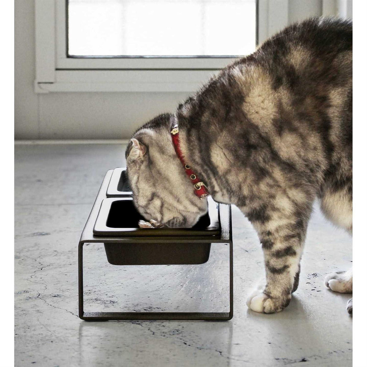 Pet Food Bowl B9787