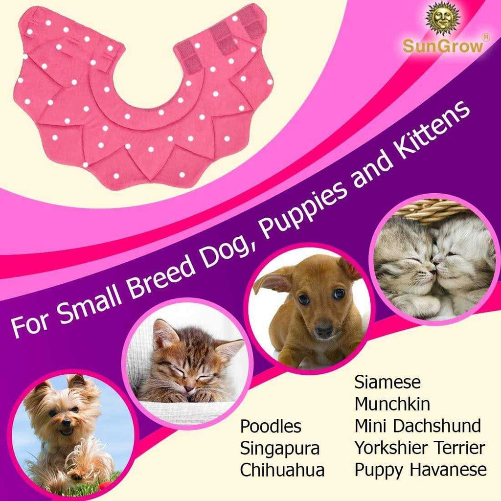 Soft e Collar for Small Dogs & Cats R18175