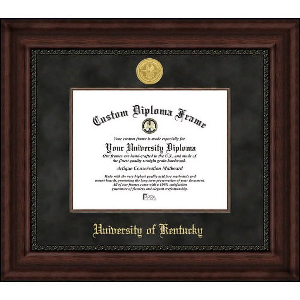University of Illinois Executive Diploma Frame Q618744