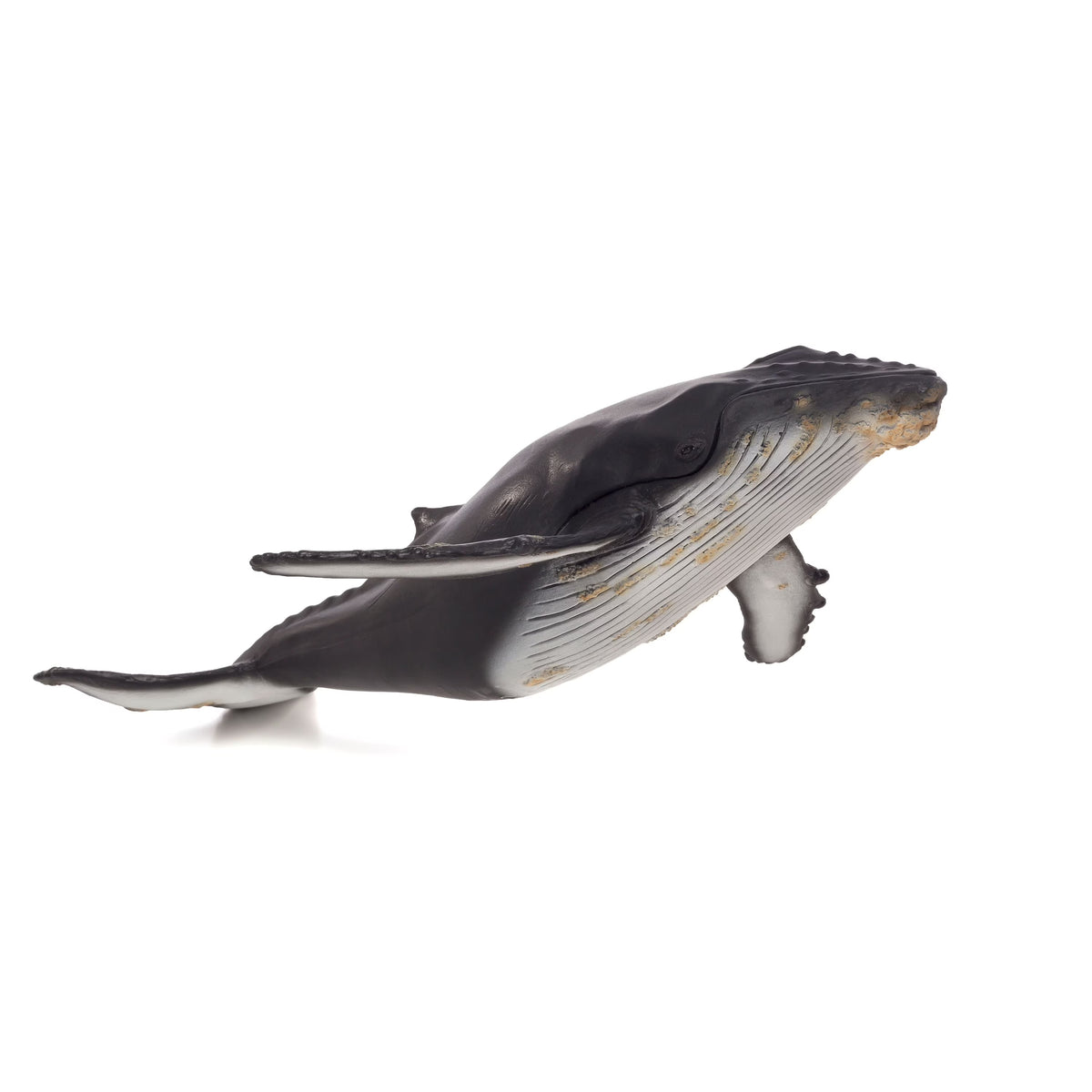 Large Hump Back Whale Wildlife Figurine F265