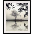 Photographic Print Black Frame 44x22 H x 37x22 W x 1x22 D S636