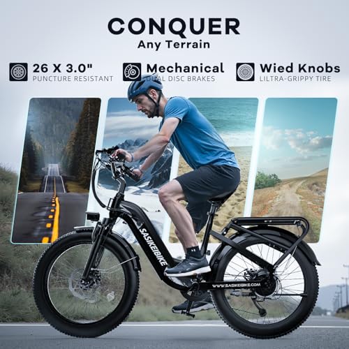 24" Fat Tire Electric Bike, 48V 20AH Removable Battery, 7 Speed F16725