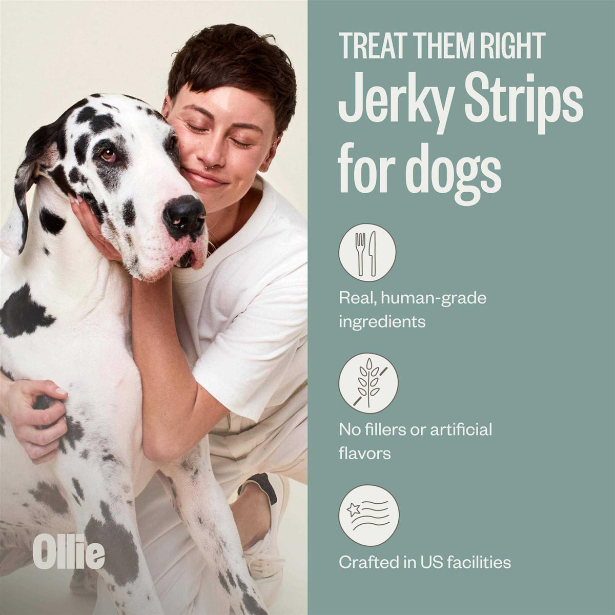 Beef and Sweet Potato Dog Jerky Treats M6940