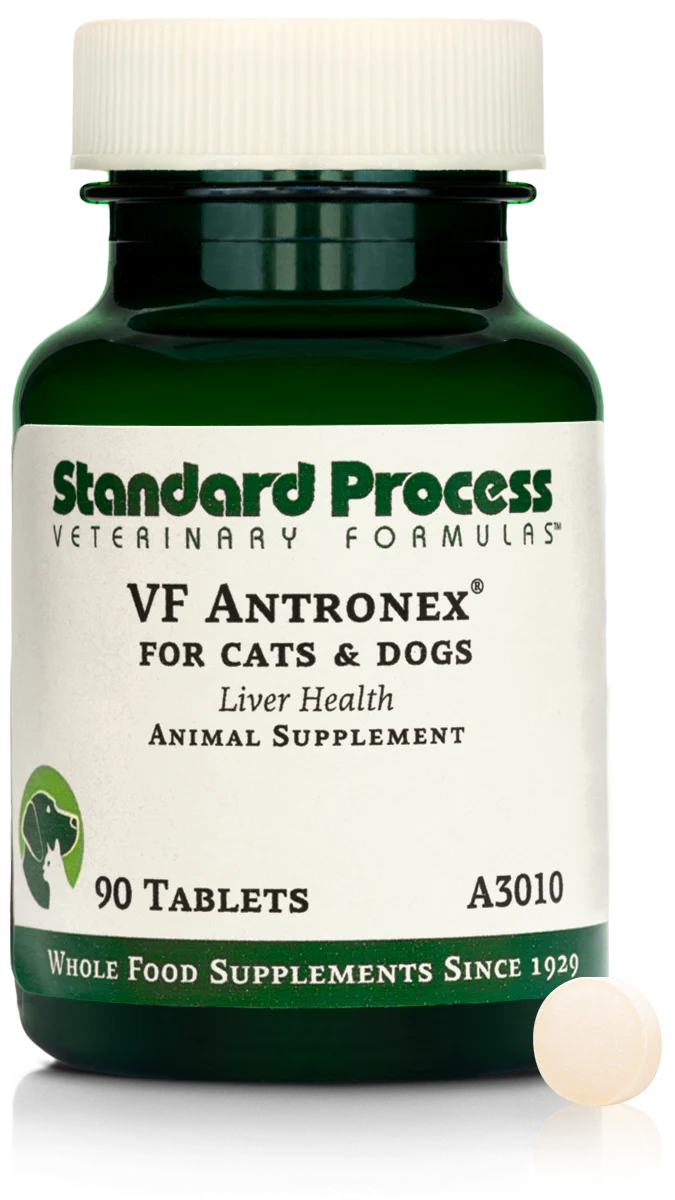 90 Tablets R542252