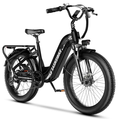 24" Fat Tire Electric Bike, 48V 20AH Removable Battery, 7 Speed F16725