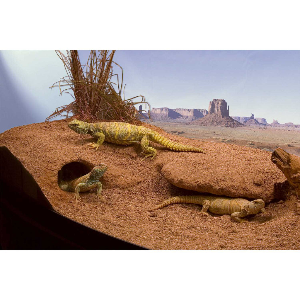 Clay Burrowing Substrate C66087