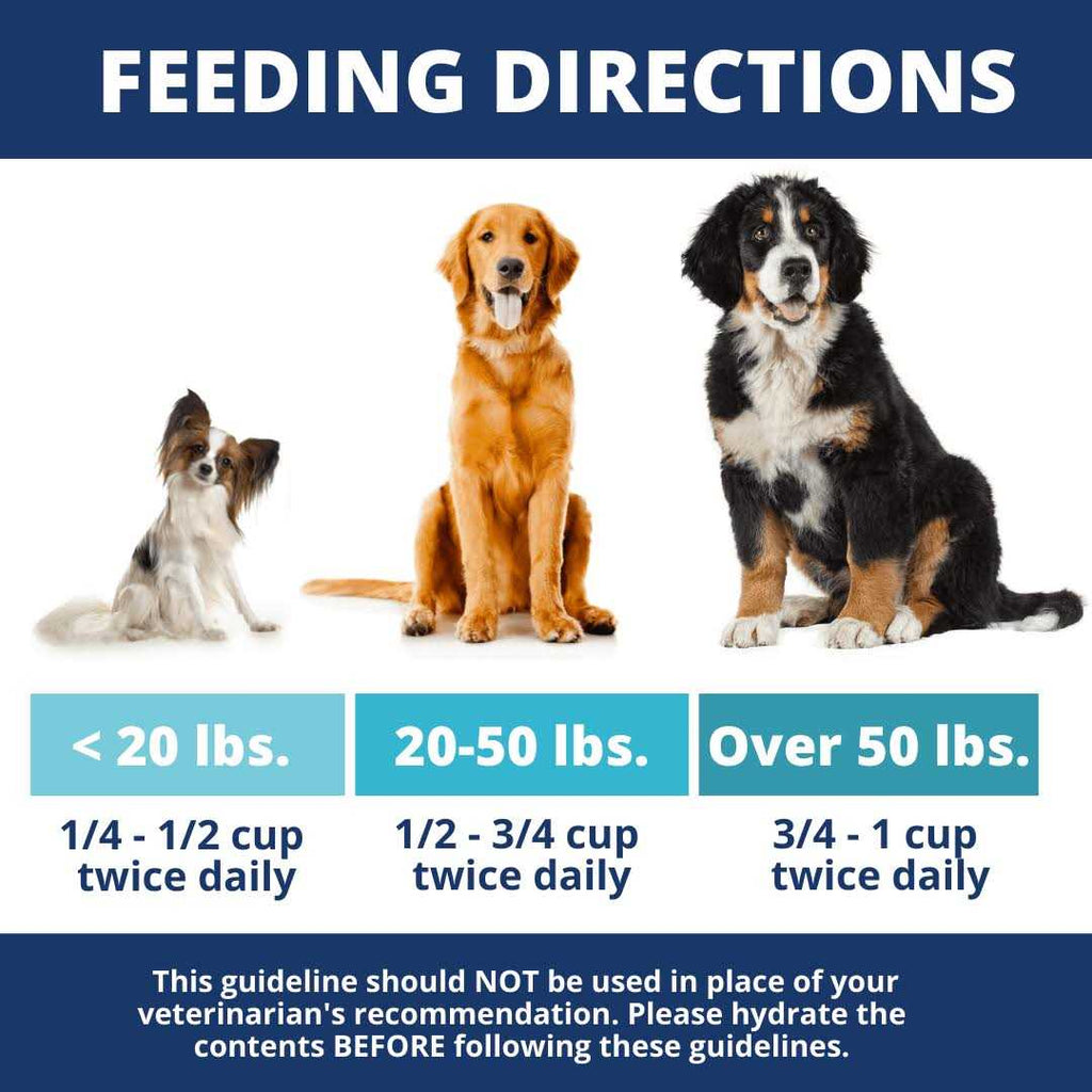 Chicken Rice & Pumpkin Freeze-Dried Dog Food A623992