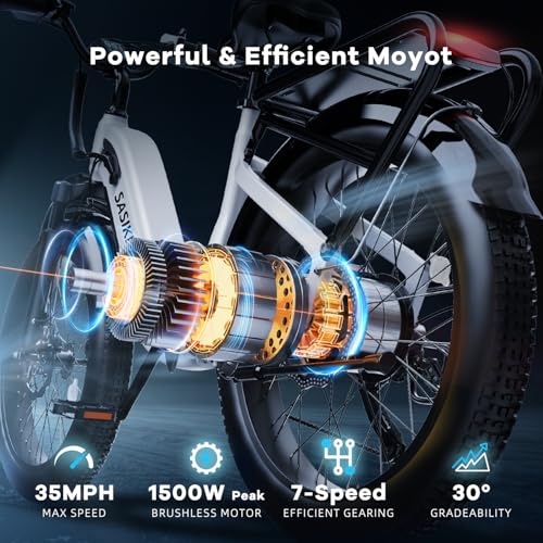 24" Fat Tire Electric Bike, 48V 20AH Removable Battery, 7 Speed F16725