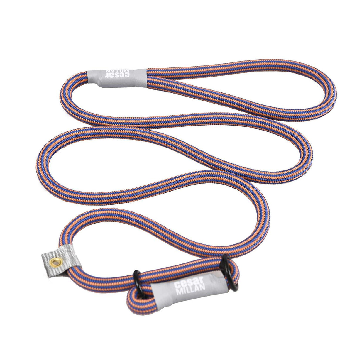 Slip Lead Leash 2-in-1 Dog Training Lead & Collar S433517