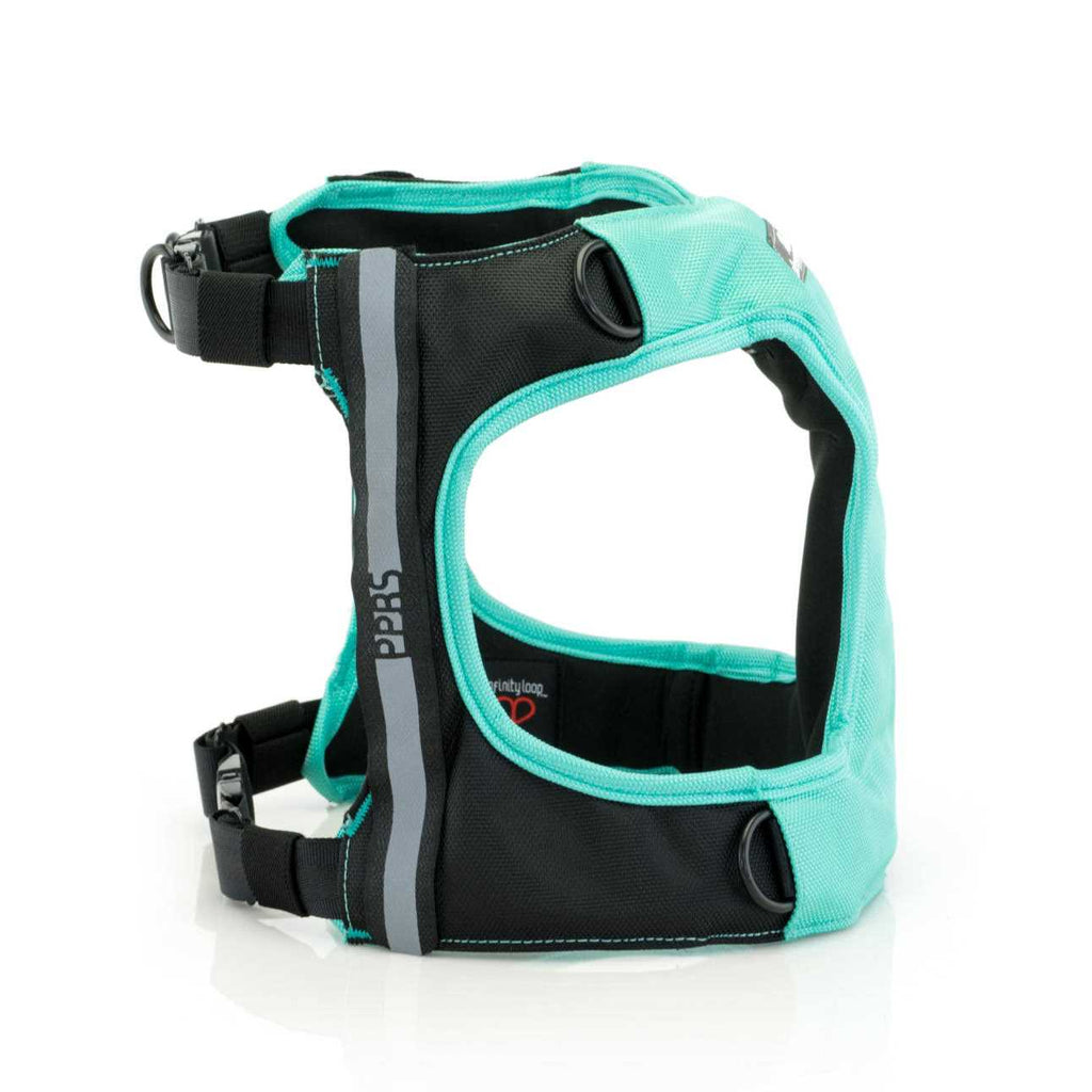 Safety I436860