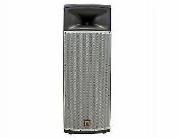 Passive 15” 3-Way Full-Range PA Speaker T992