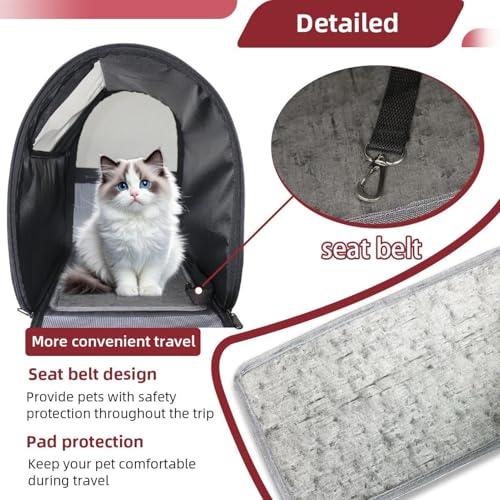 Airline Approved Pet Carrier Bag Y762