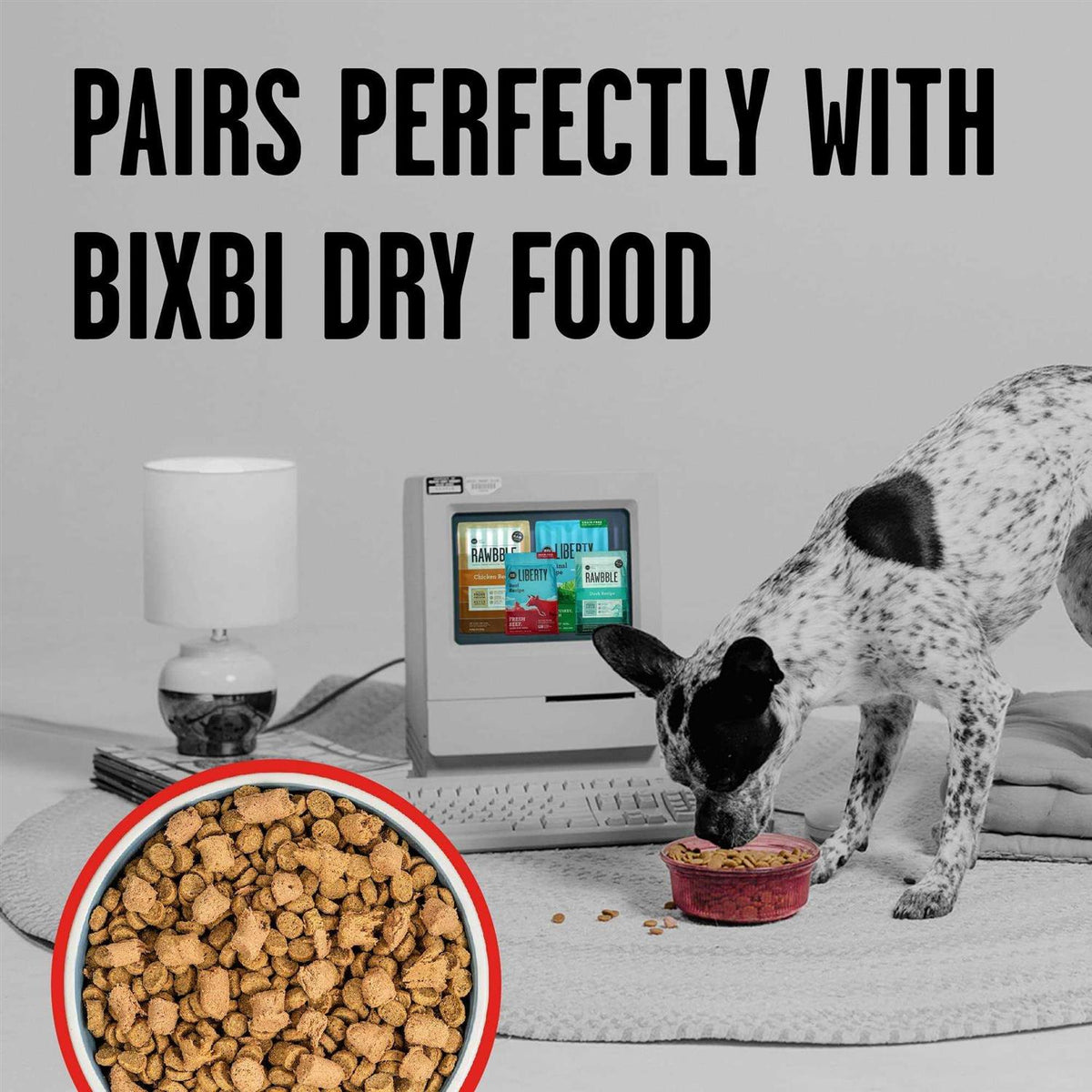 Freeze Dried Beef Dog Food N988331