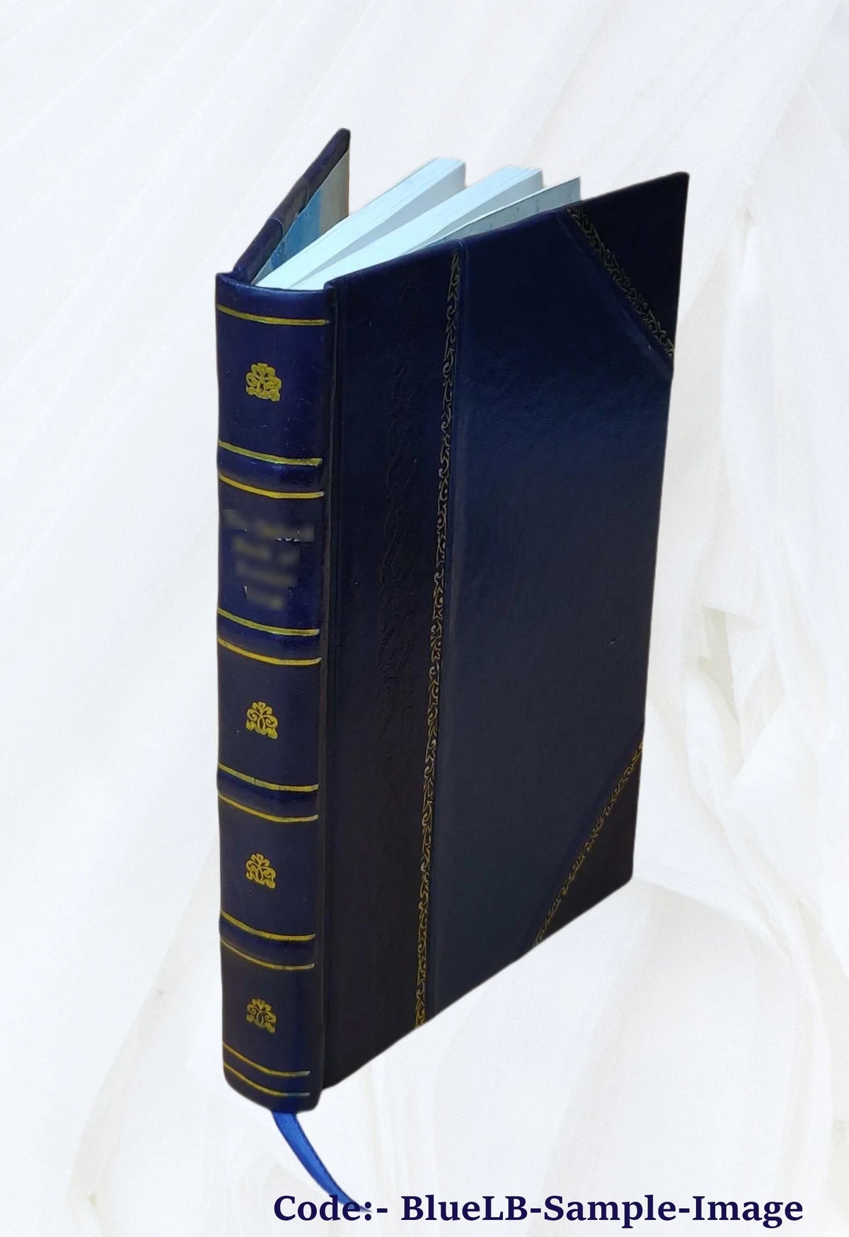 Leather Bound Book W516356