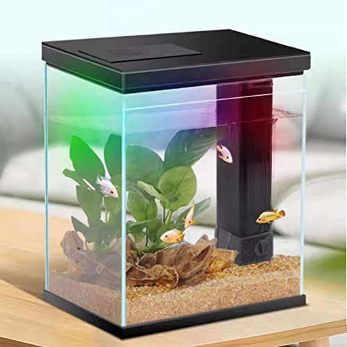 2 Gallon Glass Betta Fish Tank with Heater Filter and Light G549