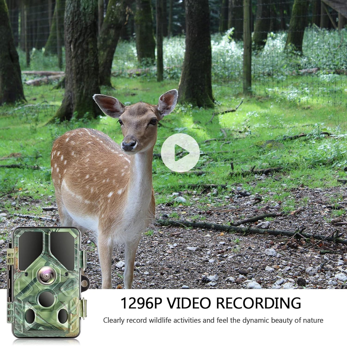 WiFi Trail Camera with Night Vision 65FT Motion Activated IP66 Waterproof Hunting Camera K458597