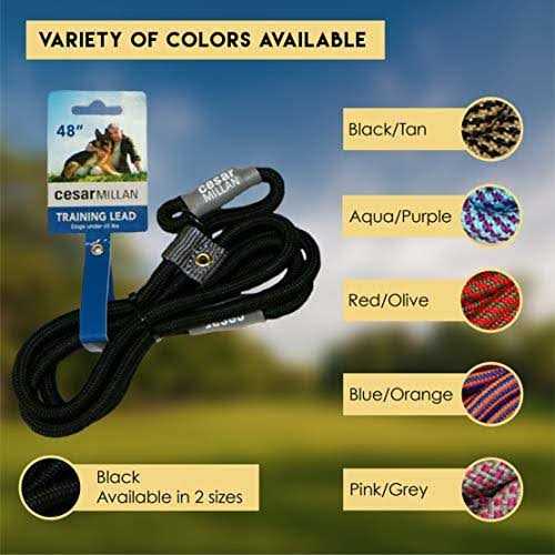 Slip Lead Leash 2-in-1 Dog Training Lead & Collar S433517