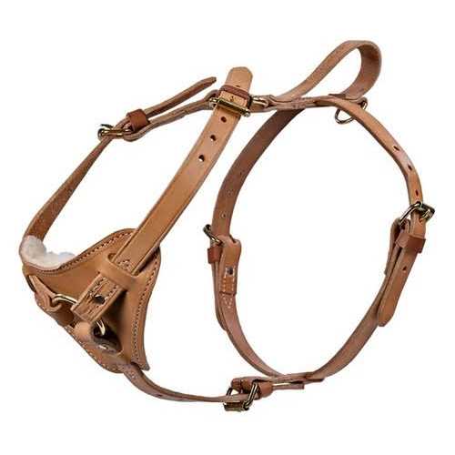 Leather Tracking Harness T13009