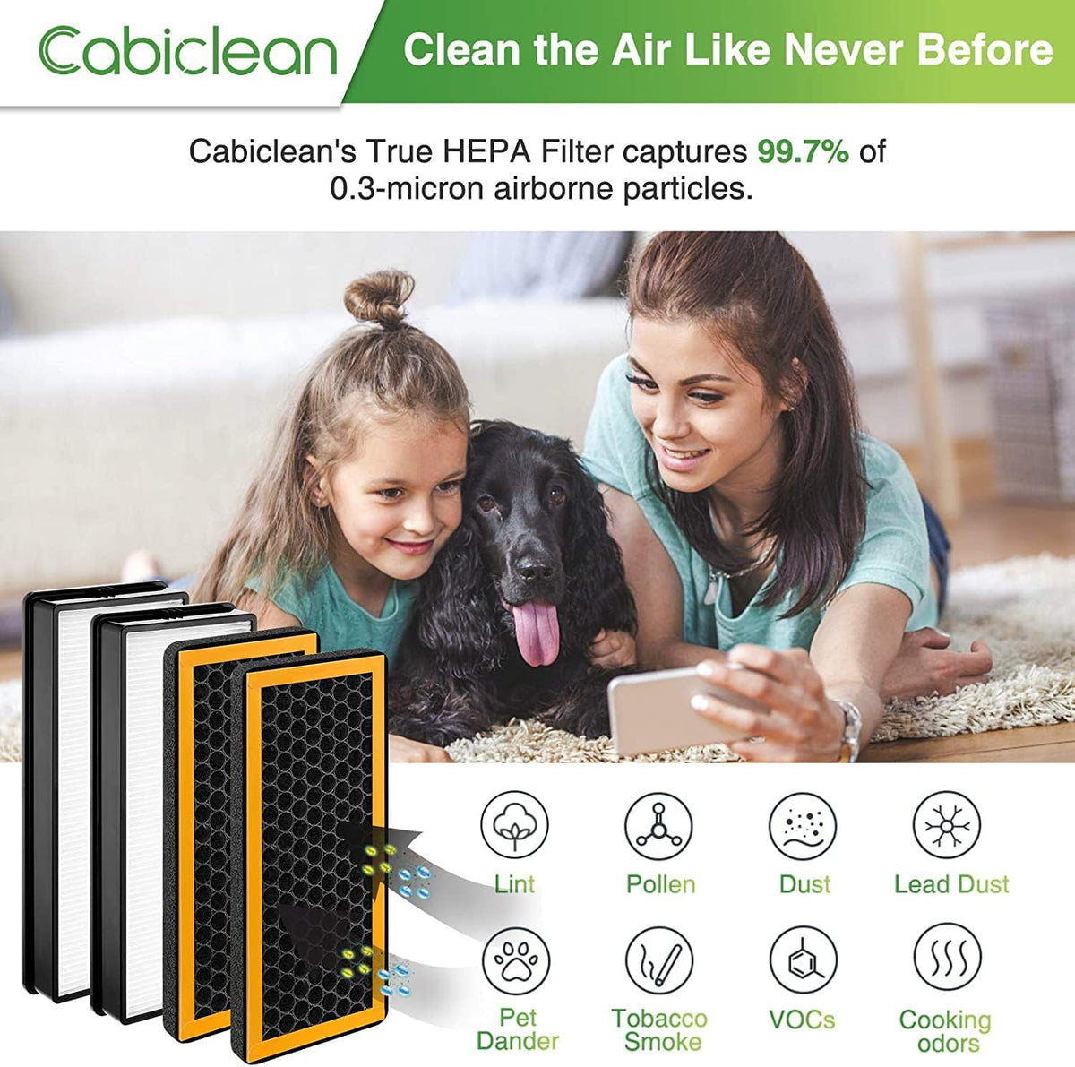 4 Pack Replacement Filters A230