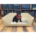 Indoor Dog Potty Tray Y8929