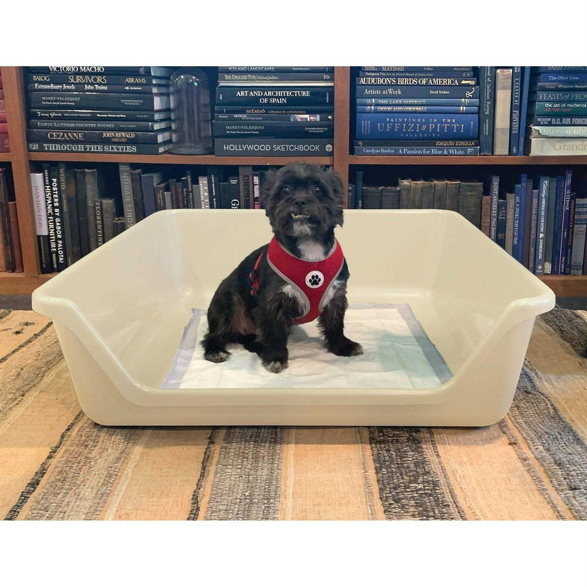 Indoor Dog Potty Tray Y8929
