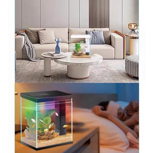 2 Gallon Glass Betta Fish Tank with Heater Filter and Light G549