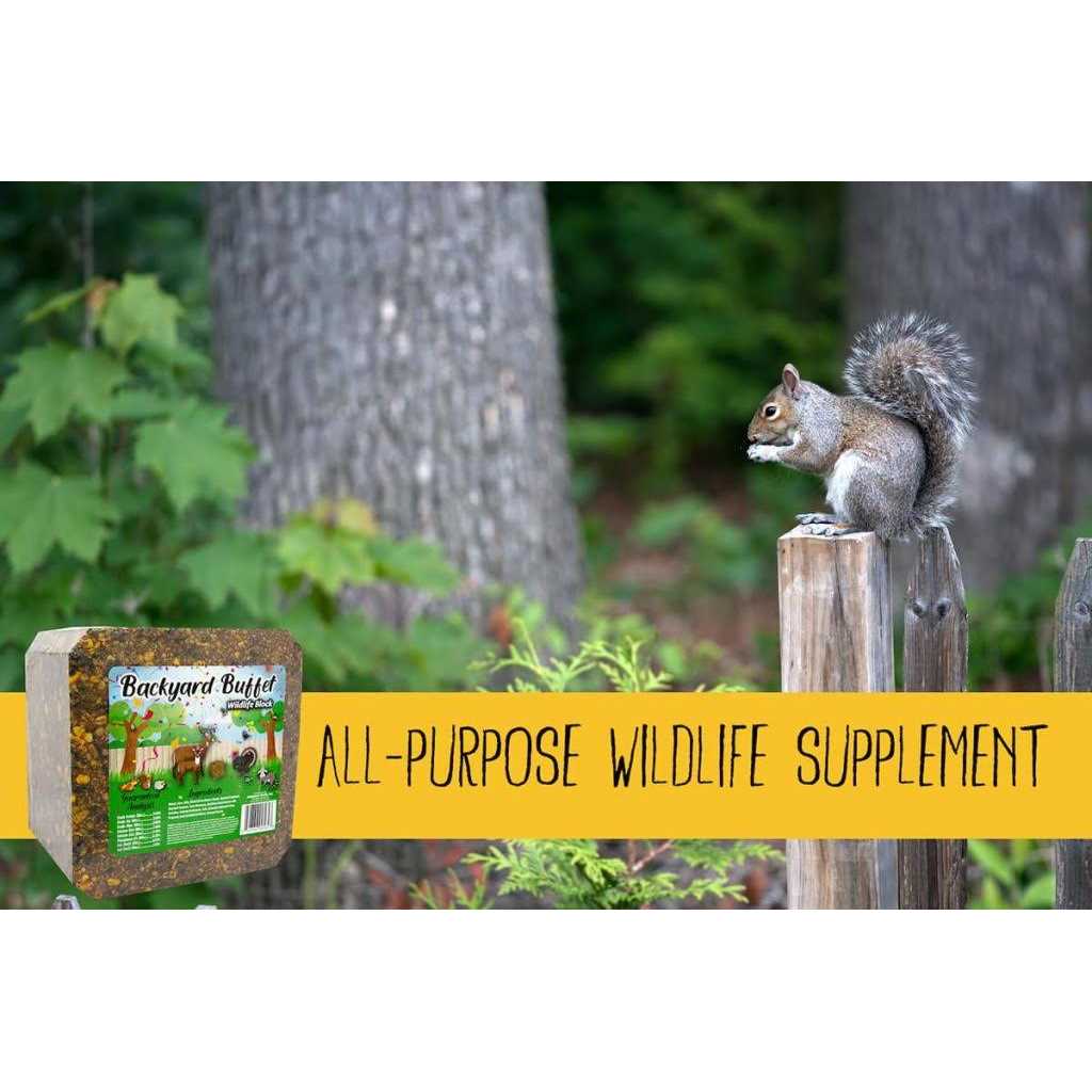 Backyard Buffet Wildlife Treat Q611756