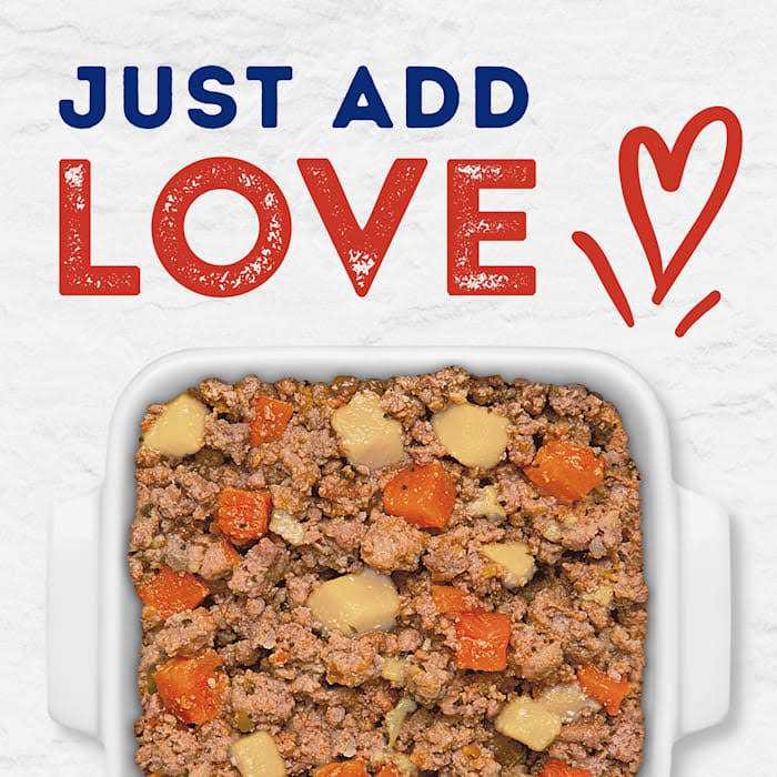 Natural Balance Platefulls Tender Beef & Potato Recipe Wet Dog Food V75701