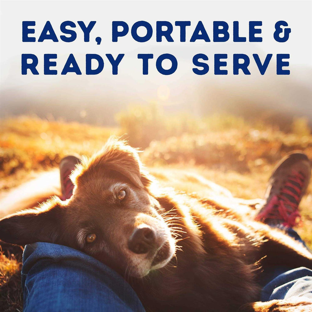 Natural Balance Platefulls Tender Beef & Potato Recipe Wet Dog Food V75701