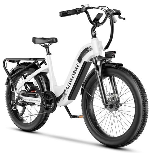 24" Fat Tire Electric Bike, 48V 20AH Removable Battery, 7 Speed F16725