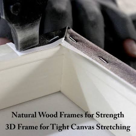 Canvas R5046