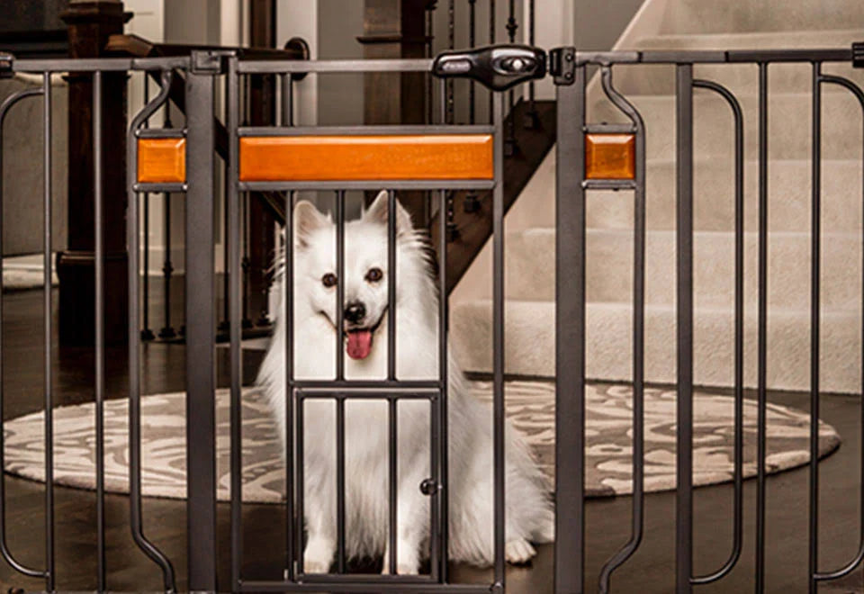 Black Extra Tall Gate with Small Pet Door D8557