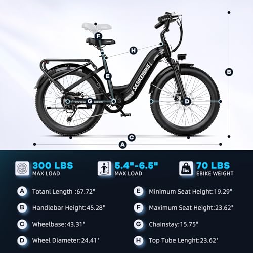 24" Fat Tire Electric Bike, 48V 20AH Removable Battery, 7 Speed F16725